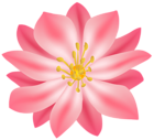 Flower PNG Clip Art Image | Gallery Yopriceville - High-Quality Images