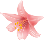 Flower PNG Clip Art Transparent Image