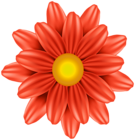 Flower PNG Orange Clipart