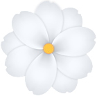Flower PNG White Transparent Clipart