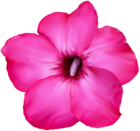 Flower Pink Clip Art PNG Image