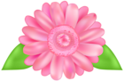 Flower Pink Decorative Transparent Image