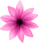 Flower Pink PNG Clip Art Image