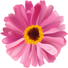 Flower Pink PNG Image