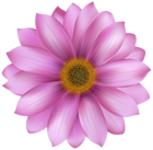 Flower Pink Transparent PNG Clip Art Image