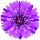 Flower Purple PNG Clip Art Image