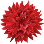 Flower Red PNG Clip Art Transparent Image