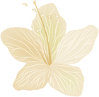 Flower Transparent PNG Clip Art Image
