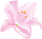 Flower Transparent PNG Clip Art Image