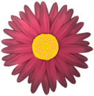 Flower Transparent PNG Clip Art Image