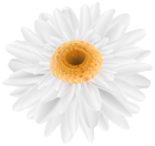 Flower White Transparent Clip Art Image