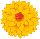 Flower Yellow Clipart