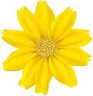Flower Yellow PNG Transparent Clip Art Image