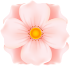 Flower for Decoration PNG Clipart