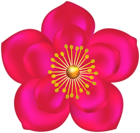 Fuchsia Flower Transparent Image