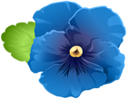 Garden Violet Flower Blue PNG Clipart