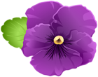 Garden Violet Flower Purple PNG Clipart