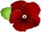 Garden Violet Flower Red PNG Clipart