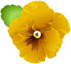 Garden Violet Flower Yellow PNG Clipart