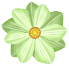 Green Flower Decoration Clipart Image
