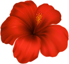Hibiscus Flower PNG Clipart