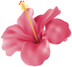Hibiscus Pink Transparent PNG Clip Art Image