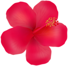 Hibiscus Red Flower PNG Clipart