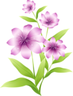 Large Light Pink Flowers Clipart