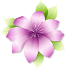 Large Pink Flower Clipart