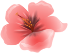Large Pink Flower Clipart PNG Image