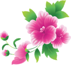 Large Pink Flowers Clipart
