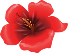 Large Red Flower Clipart PNG Image