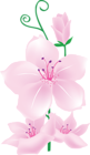 Light Pink Flowers Clipart