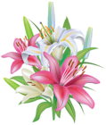 Lilies Flowers Decoration PNG Clipart Image
