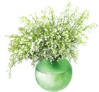 Lily of the Valleyin Vase PNG Clip Art Image