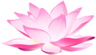 Lotus Flower PNG Clip Art Image