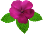 Magenta Flower PNG Clip Art