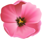 Open Pink Tulip Clipart Image