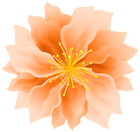 Orange Cute Flower PNG Transparent Clipart