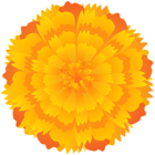 Orange Flower Clip Art PNG Image
