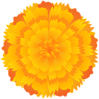 Orange Flower Clip Art PNG Image | Gallery Yopriceville - High-Quality