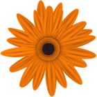 Orange Flower Clip Art PNG Image
