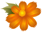 Orange Flower PNG Clip-Art Image