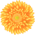 Orange Flower PNG Clip Art