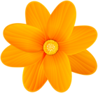 Orange Flower PNG Clip Art Image