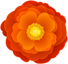 Orange Flower PNG Clipart