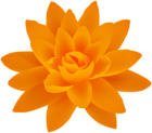 Orange Flower PNG Deco Image