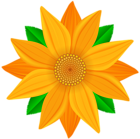 Orange Flower Transparent PNG Clip Art Image