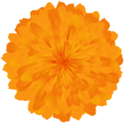 Orange Marigold Dwarf Flower PNG Clipart