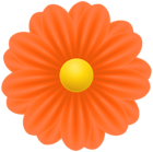 Orange PNG Flower Transparent Clipart